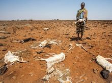 Food Crisis in Africa & Middle East Food Crisis in Africa & Middle East