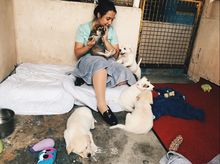 Sai Kung Stray Friends Foundation – Providing Education Outside The Classroom Sai Kung Stray Friends Foundation – Providing Education Outside The Classroom