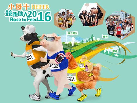 Heifer Race to Feed 2016