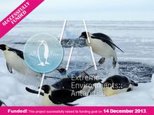 THE PENGUINS: How Do Penguins Stay Warm? THE PENGUINS: How Do Penguins Stay Warm?