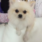 Janice