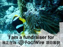 CC is fundraising for FactWire - an investigative news agency founded by the Hong Kong public CC is fundraising for FactWire - an investigative news agency founded by the Hong Kong public